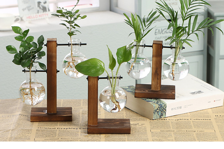 Terrarium Hydroponic Plant Vase with Stand