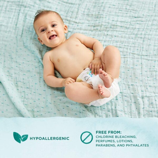 Mama Bear Gentle Touch Diapers, Hypoallergenic, Size 1, 49 Count: Health & Personal Care - Image 4