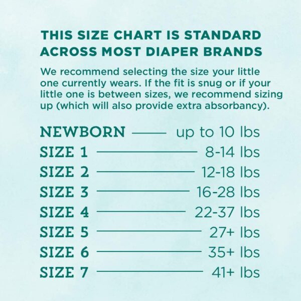 Mama Bear Gentle Touch Diapers, Hypoallergenic, Size 1, 49 Count: Health & Personal Care - Image 2