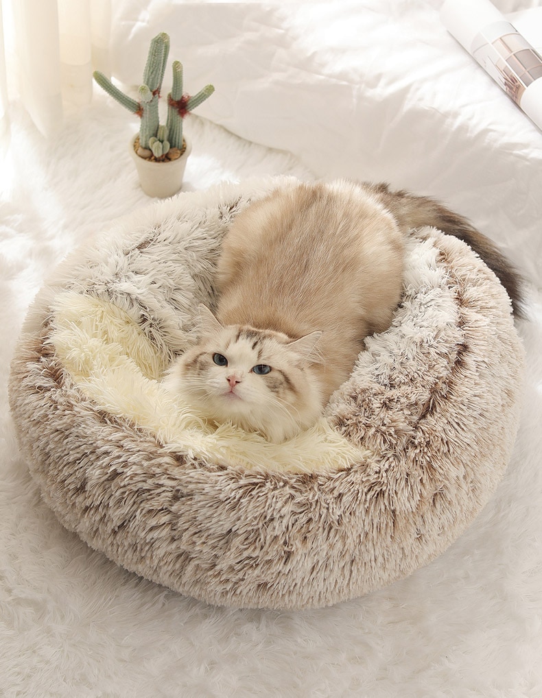 Cats Round Plush Bed