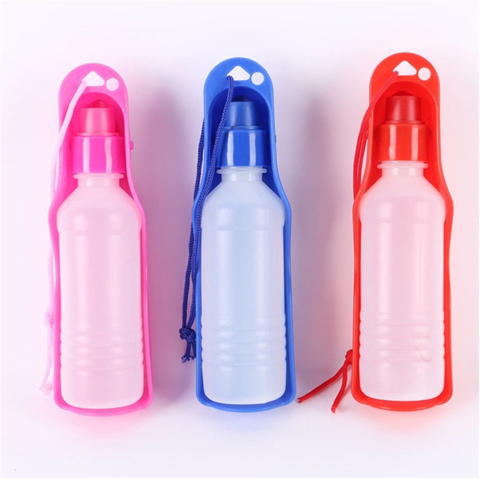 Solid Color Dog Water Bottle