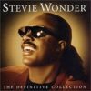 Stevie Wonder