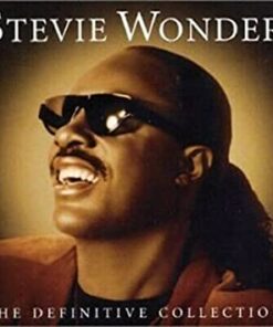 Stevie Wonder