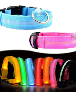 Dogs Nylon LED Collar