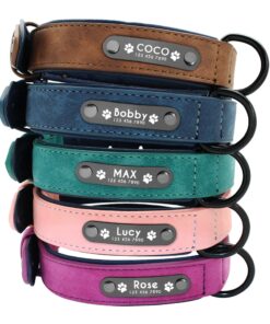 Dog's Leather Collar with ID Tag