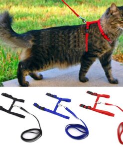 Adjustable Cat Walking Harness