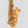Professional E-Flat Alto Saxophone with Hand-Carved Designs, Comes with a Complete Set of High-Quality Accessories.