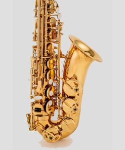Professional E-Flat Alto Saxophone with Hand-Carved Designs, Comes with a Complete Set of High-Quality Accessories.