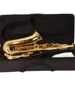Stylish Mid-range Alto Drop E Lacquered Golden Saxophone Painted Golden Tube with Carve Patterns