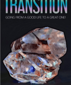 The Transition Book